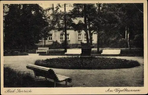 Ak Bad Lausick in Sachsen, Partie am Vogelbrunnen