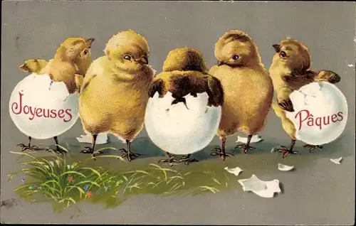 Präge Litho Glückwunsch Ostern, Joyeuses Paques, Küken sind aus Eiern geschlüpft