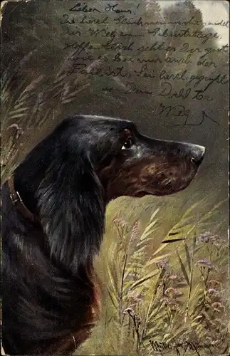 Künstler Ak Müller, Moritz jun., Seitliches Profil eines Hundes, Serie 1193 Rassehunde