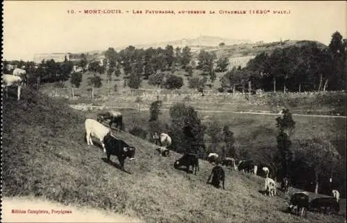 Ak Mont Louis Pyrénées Orientales, Les Paturages, au dessus la citadelle, Kuhweide