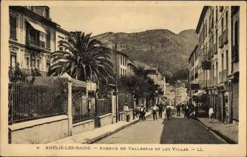 Ak Amelie Les Bains Pyrénées-Orientales, Avenue du Vallespir et les Villas