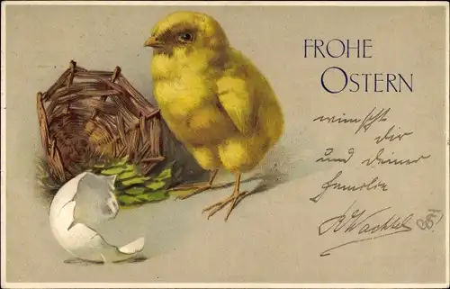 Litho Glückwunsch Ostern, Küken ist gerade aus dem Ei geschlüpft