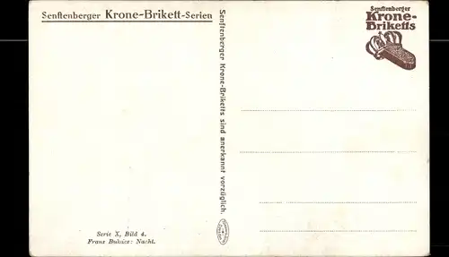 Künstler Ak Bukacz, Franz, Nacht, Senftenberger Krone Brikett Serie X Bild 4