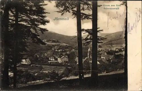 Ak Bad Herrenalb im Schwarzwald, Panorama von der Ortschaft