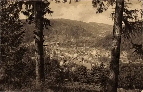 Ak Triberg im Schwarzwald, Panorama von der Ortschaft vom Kapellenberg