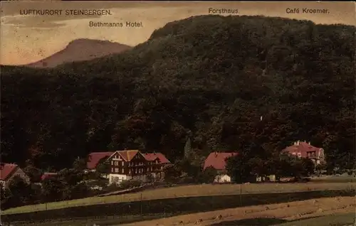 Ak Steinbergen Rinteln an der Weser Kreis Schaumburg, Bethmanns Hotel, Forsthaus, Cafe Kroemer