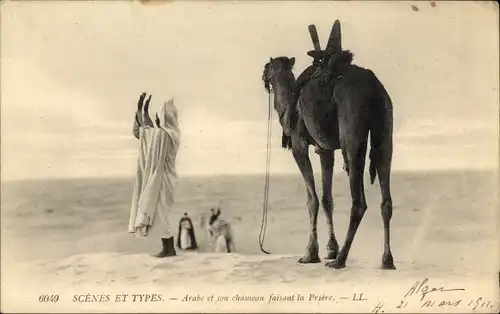 Ak Scenes et Types, Arabe et son chameau faisant la Prière, Araber und Kamel, Maghreb, Gebet
