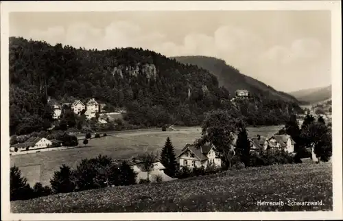 Ak Bad Herrenalb im Schwarzwald, Blick auf Ortschaft und Umgebung