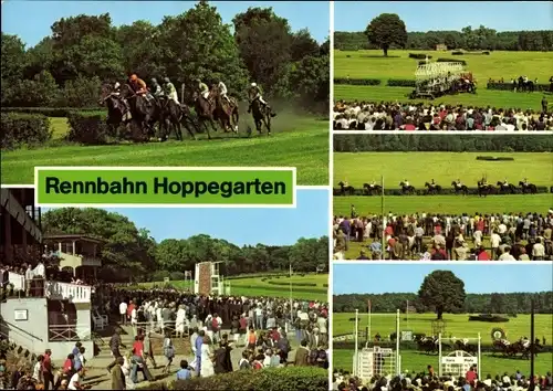Ak Hoppegarten in Brandenburg, VEB Vollblutrennbahnen, Pferderennen, Zuschauer