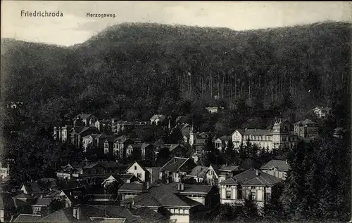 Ak Friedrichroda im Thüringer Wald, Blick auf den Ort, Wald, Herzogsweg