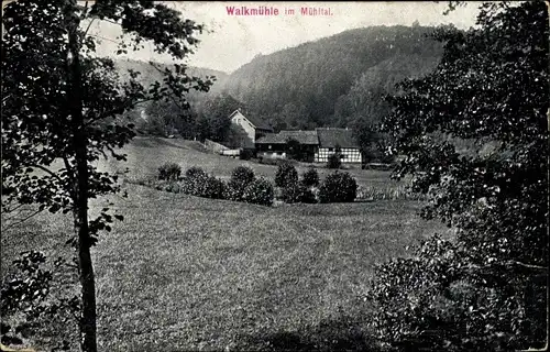 Ak Eisenberg im Saale Holzland Kreis, Walkmühle, Waldlandschaft