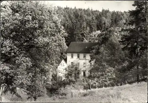 Ak Jößnitz Vogtland, Blick zur Pfaffenmühle, Wald