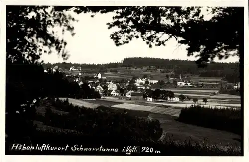 Foto Ak Schnarrtanne Auerbach im Vogtland, Blick auf Ortschaft und Umgebung