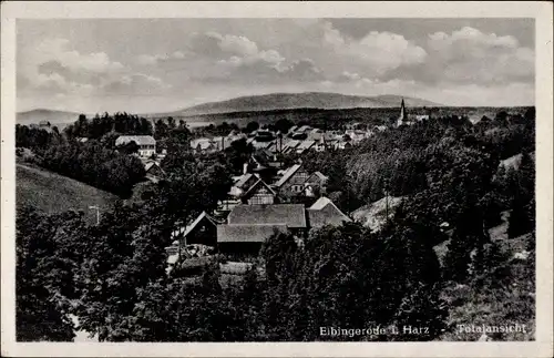 Ak Elbingerode Oberharz am Brocken, Totalansicht vom Ort