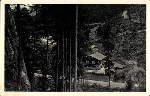 Ak Schwarzburg im Schwarzatal Thüringen, Schweizerhaus, Trippstein, Wald