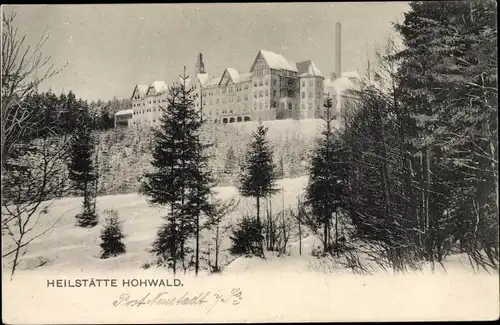 Ak Hohwald Neustadt in Sachsen, Blick vom Wald aus zur Heilstätte im Winter