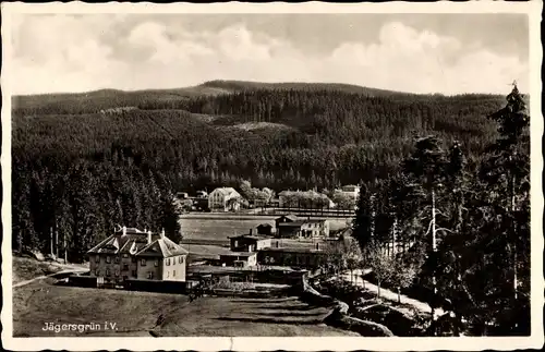 Ak Jägersgrün Muldenhammer im Vogtland, Blick auf Ortschaft und Umgebung