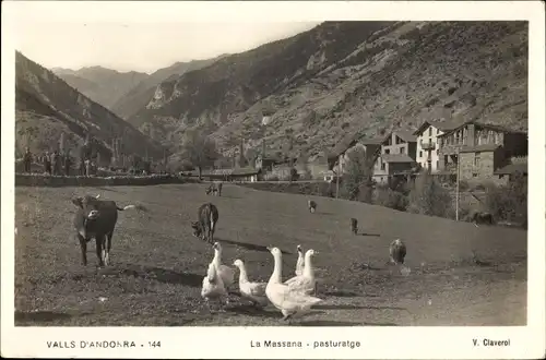 Ak La Massana Andorra, Valls d'Andorra, pasturatge, Weide mit Rindern und Gänsen