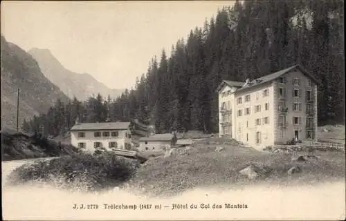 Ak Trelechamp Haute Savoie, Hotel du Col des Montets