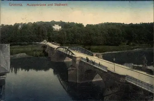 Ak Grimma in Sachsen, Blick über die Muldenbrücke zum Stadtwald