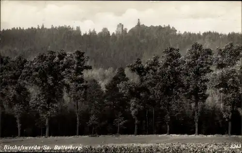 Ak Bischofswerda im Kreis Bautzen, Blick über Wälder zum Butterberg