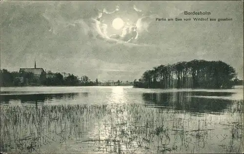 Ak Bordesholm in Schleswig Holstein, Partie am See vom Wildhof aus gesehen