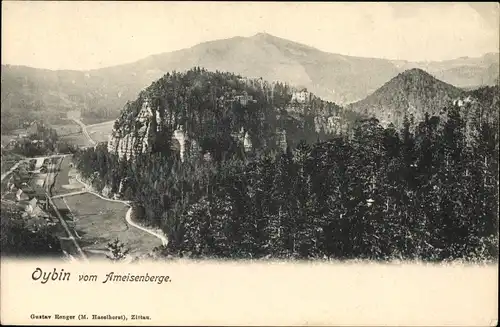 Ak Oybin in Sachsen, Blick vom Ameisenberge ins Tal, Wald, Häuser