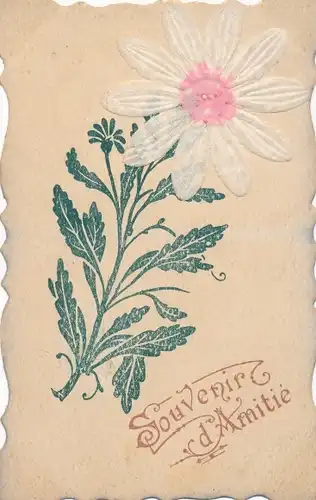 Stoff Ak Souvenir d'Amitié, Blume mit weißer Blüte