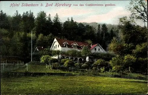 Ak Bad Harzburg in Niedersachsen, Hotel Silberborn von den Gestütswiesen aus gesehen