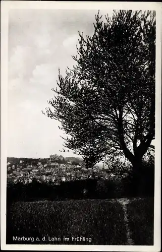 Ak Marburg an der Lahn, Panorama vom Ort im Frühling