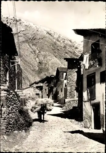 Ak Canillo Andorra, Teilansicht, Straßenpartie mit Wohnhäusern, Esel