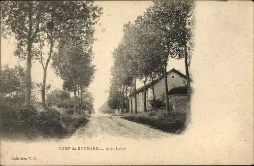 Ak Villaines les Rochers Indre et Loire, Camp du Ruchard, Allee Lebel