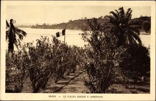 Ak Lambaréné Gabun, Le Fleuve Ogooué, Blick über Bäume zum Fluss, Palmen, Fahne