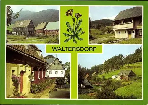 Ak Waltersdorf Großschönau Oberlausitz, Blick zur Lausche, Umgebindehaus, Am Sonneberg