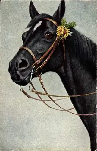 Künstler Ak Pferdeportrait, schwarzes Pferd mit Zaumzeug, Zieher 144 940