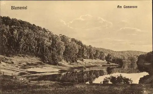 Ak Blumenthal Prötzel Brandenburg, Landschaftsblick auf Gamensee und Wald
