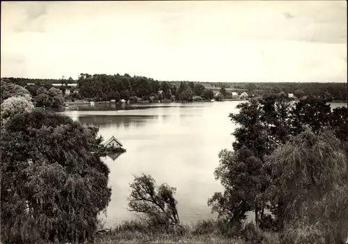 Ak Flecken Dorf Zechlin Rheinsberg, Blick auf den Schwarzen See