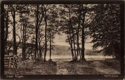 Ak Insel Rügen in der Ostsee, Partie am Herthasee