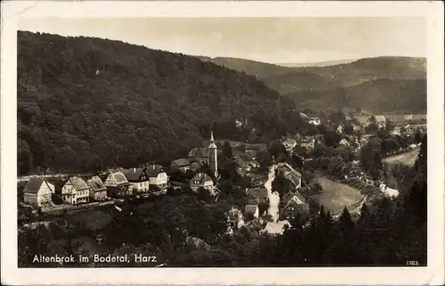 Ak Altenbrak Thale im Harz, Gesamtansicht vom Ort im Bodetal