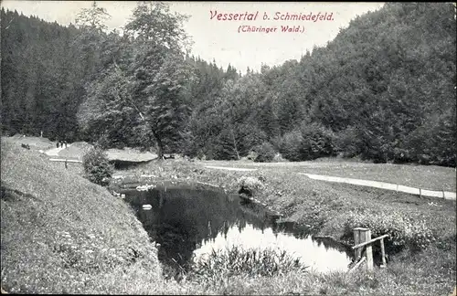 Ak Schmiedefeld am Rennsteig Thüringen, Partie im Vessertal, Thüringer Wald