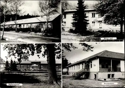 Ak Lobetal Bernau bei Berlin, Hoffnungstaler Anstalten, Krankenhaus, Birkenhof