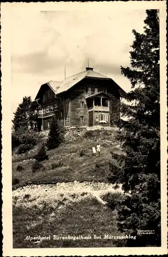 Ak Mürzzuschlag Steiermark, Alpenhotel Bärenkogelhaus