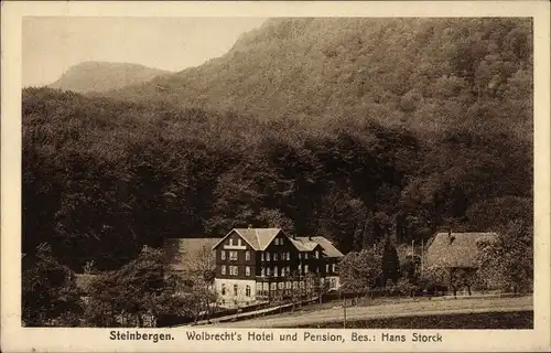 Ak Steinbergen Rinteln in Niedersachsen, Wolbrecht' s Hotel und Pension, Besitzer Hans Storck, Wald