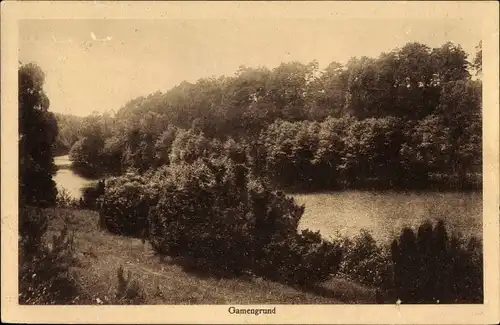 Ak Tiefensee Werneuchen im Kreis Barnim, Blick auf Gamengrund