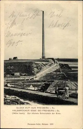 Ak Halsbrücke in Sachsen, Blick auf die Esse mit Teilansicht vom Ort