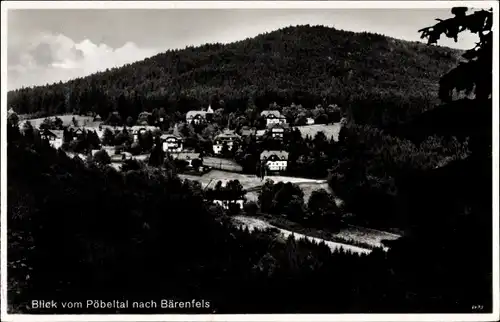 Ak Bärenfels Altenberg im Erzgebirge, Stadtpanorama, Wald
