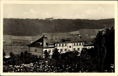 Ak Rüdesheim am Rhein in Hessen, Blick auf die Jugendherberge