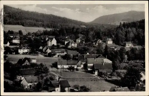 Ak Jonsdorf in Sachsen, Teilansicht vom Ort, Berge, Wald