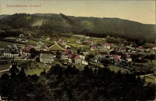 Ak Jonsdorf in Sachsen, Stadtpanorama, Wald, Felder, Gebäude