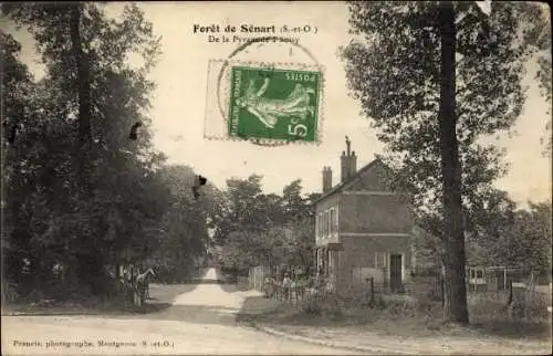 Ak Foret de Senart Essonne, De la Pyramide a Soisy, Straßenpartie